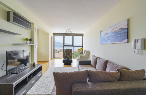 Spacious three-bedroom apartment in the center