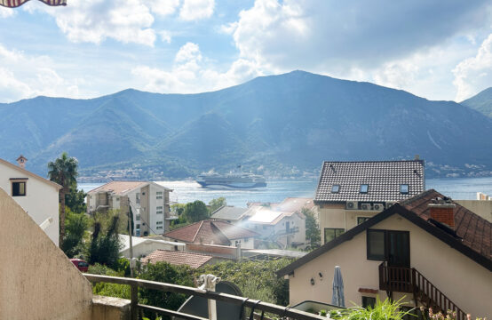 Cozy one-bedroom apartment in a developed area