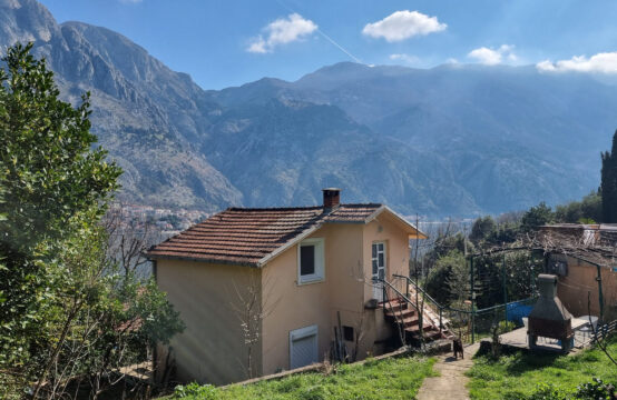 Four-bedroom house on a large lot