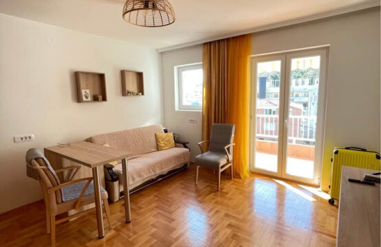 Cozy one-bedroom apartment