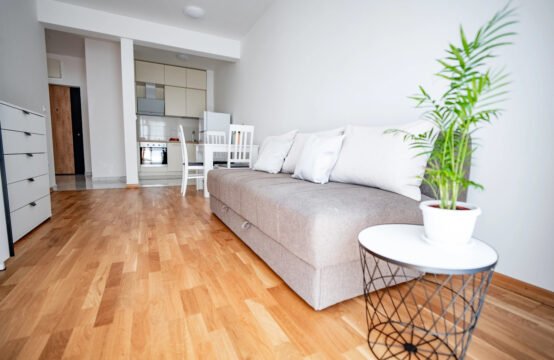 Cozy and functional one-bedroom apartment